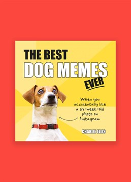 <p>With their endearing personalities, limitless vigour, and distinct propensity for being just a little bit quirky, who better to ride through these moments with us than man's best friend? For every high and low in life, there is a meme to encapsulate the emotion.</p><p>This collection of the funniest, most relatable memes about life, expressed via the expressive creativity of dogs, covers everything from the delight of moving to the beat of your music to the misery of inadvertently pressing "like" when you're seven months into your crush's Instagram page.</p><p><em>Publisher: Octopus Publishing Group</em><br /><em>ISBN: 9781786857835</em><br /><em>Number of pages: 96</em><br /><em>Dimensions: 146 x 146 mm</em></p>